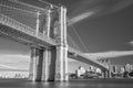 A amazing view of the lower Manhattan and Brooklyn Bridge Royalty Free Stock Photo