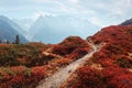 Amazing view on Monte Bianco mountains range with Monblan on background Royalty Free Stock Photo