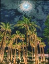 Amazing view of the moon among the clouds It is made more beautiful by those tall palms, as if they embrace the sky at night Royalty Free Stock Photo