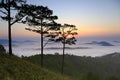 Amazing view of mountain, mist & cloud