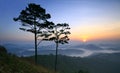 Amazing view of mountain, mist & cloud