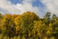 Amazing view over autumn forest with green orange trees on blue sky with white clouds background Royalty Free Stock Photo