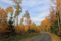 Amazing view over autumn forest with green orange trees on blue sky with white clouds background Royalty Free Stock Photo