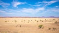Amazing view over a plain field near Twijfelfontein, Damaraland, Namibia. Royalty Free Stock Photo
