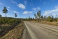 Amazing view over spring forest with green trees on blue sky with white clouds background. Green yellow trees and road. Royalty Free Stock Photo