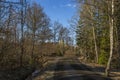 Amazing view over spring forest with green trees on blue sky with white clouds background. Green yellow trees and road. Royalty Free Stock Photo