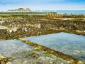 Amazing view of oyster farm at low tide in a bright sunny day, Cancale coast, Brittany, France