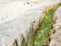 Amazing view  of Pamukkale hill surface  in Turkey Royalty Free Stock Photo