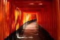 Amazing view of red Japanese columns put in a row in Kyoto Travel: Fushimi Inari Shrine