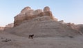 Amazing view of a rosy deserted rocky landscape. Royalty Free Stock Photo