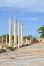 Amazing view of the Salamis ruins in Northern Cyprus taken with blue sky above. Salamis was famous Antique Greek city