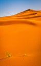 Amazing view of sand dunes in the Sahara Desert. Location: Sahara Desert, Merzouga, Morocco. Artistic picture. Beauty world Royalty Free Stock Photo