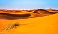 Amazing view of sand dunes in the Sahara Desert. Location: Sahara Desert, Merzouga, Morocco. Artistic picture. Beauty world Royalty Free Stock Photo