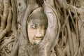 Amazing View of Sandstone Buddha Statue`s Head Trapped in the Bodhi Tree Roots at Wat Mahathat Ancient Temple in Ayutthaya Royalty Free Stock Photo