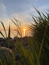 Amazing view of the sea under the sunset sky through tall beach grasses