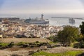 Amazing view of sheeps and mediterranean sea, Almeria ,Andalusia, Spain Royalty Free Stock Photo