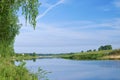 Amazing view of still river under birch with clear sky