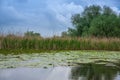 Landscape on the Danube Delta, Romania Royalty Free Stock Photo