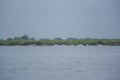 Landscape on the Danube Delta, Romania Royalty Free Stock Photo