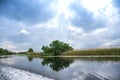 Landscape on the Danube Delta, Romania Royalty Free Stock Photo