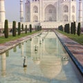 Amazing view on the Taj Mahal in sunset light with reflection in Royalty Free Stock Photo