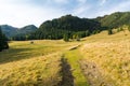 Beautiful meadow in polish Tatra mountains, Zakopane, Poland