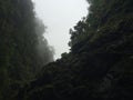 Amazing view when walking in the rainforest, Costa Rica. Bonitos paisajes en Costa Rica. Royalty Free Stock Photo