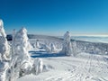 Amazing views in winter krkonose mountains