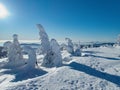 Amazing views in winter krkonose mountains Royalty Free Stock Photo