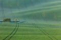 Amazing waves of hills and green and blossom trees Royalty Free Stock Photo