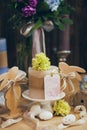 An amazing wedding bouquet in blue violet tones with the candles beautiful rustic wood vintage decoration for event