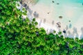 Amazing white sand beach sea shore with coconut palm tree shadow