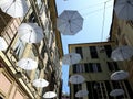 An amazing white umbrellas decoration over the city of Genova