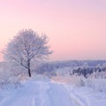 Amazing white winter road.Very cold morning in Lithuania