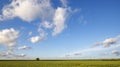 The amazing wide scene with an alone tree in a field