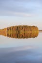 Amazing windless smooth surface of the lake. Forest in light of setting sun and clouds reflection on calm water. Karelia, Russia. Royalty Free Stock Photo