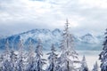 Amazing winter landscape in Austrian alps.Frozen lake in winter mountains. It is snowing. The hills of pines Royalty Free Stock Photo