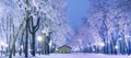 Amazing winter landscape in evening park. Lodge, light lanterns, snow and frosty trees. Artistic picture. Beauty world. Panorama Royalty Free Stock Photo