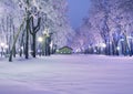 Amazing winter landscape in evening park. Lodge, light lanterns, snow and frosty trees. Artistic picture. Beauty world.