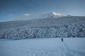 Amazing winter landscape of park of Monte Cucco with many snow Royalty Free Stock Photo