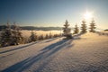 Amazing winter landscape with pine trees of snow covered forest in cold foggy mountains at sunrise Royalty Free Stock Photo