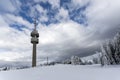 Amazing winter landscape of Rhodope Mountains near Pamporovo resort, Bulgaria Royalty Free Stock Photo