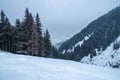 Amazing winter landscape in a snowy day