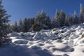 Winter landscape of Vitosha Mountain with snow covered trees, Sofia City Region, Bulgaria Royalty Free Stock Photo