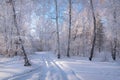 Forest snow hoarfrost birch road winter Royalty Free Stock Photo