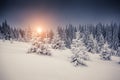 Amazing winter in the mountains Royalty Free Stock Photo