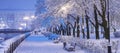 Amazing winter night landscape of snow covered bench among snowy trees and shining lights during the snowfall. Artistic picture.