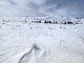 Winter panorama of Vitosha Mountain, Bulgaria Royalty Free Stock Photo