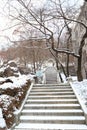 amazing winter season in kyung hee Park Seoul south korea