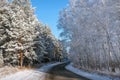 Road forest snow frost sunlight winter Royalty Free Stock Photo